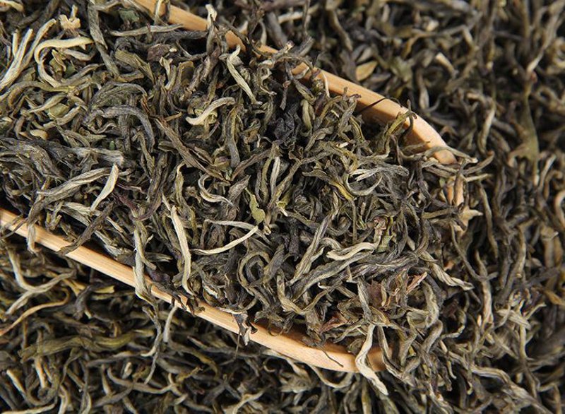 云南普洱茶的魅力与变迁
