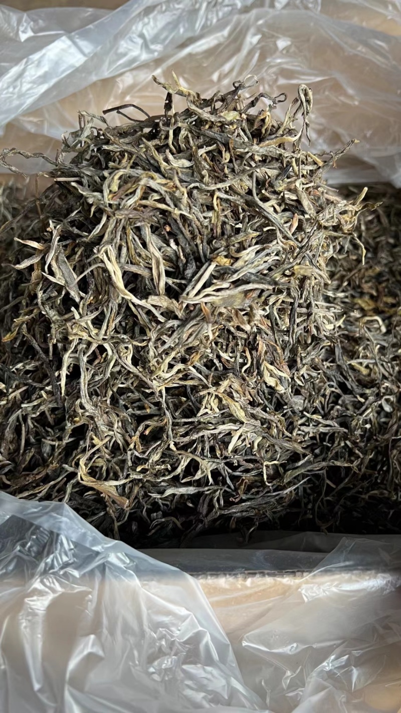 古树茶：自然与历史的结晶